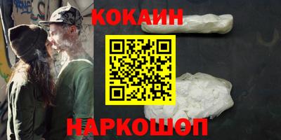 спайс Кингисепп