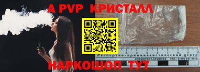 спайс Кингисепп